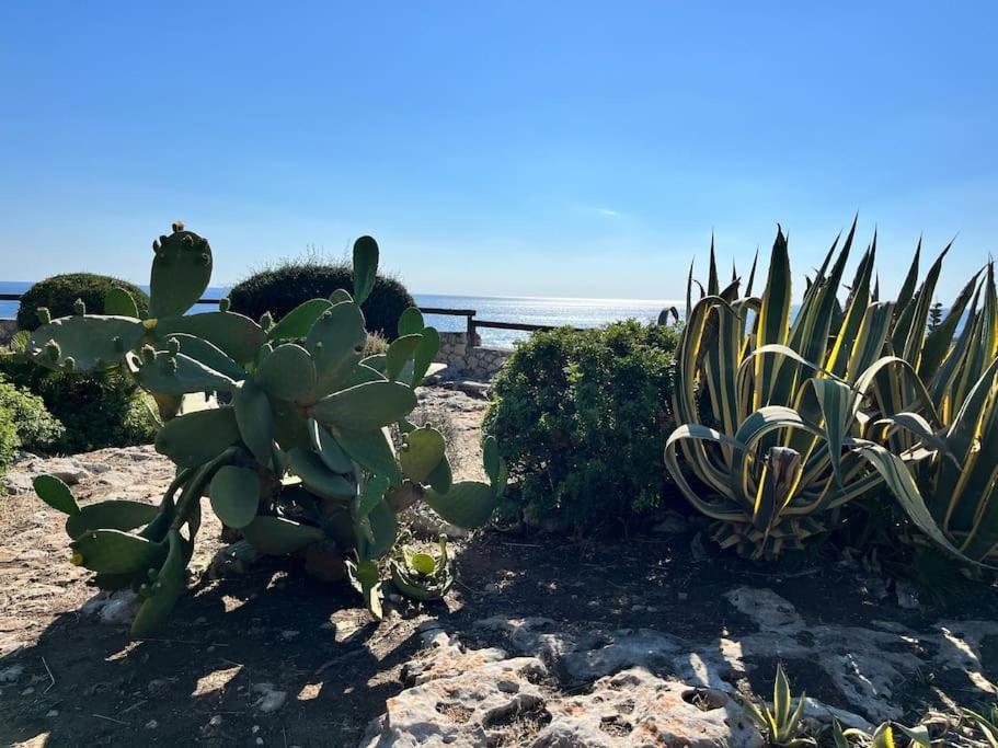 Holiday home Sebastian- Incomparabile Vista Sul Mare *